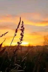 内纳取得胜利之路，法国足球联赛赛事激励人心