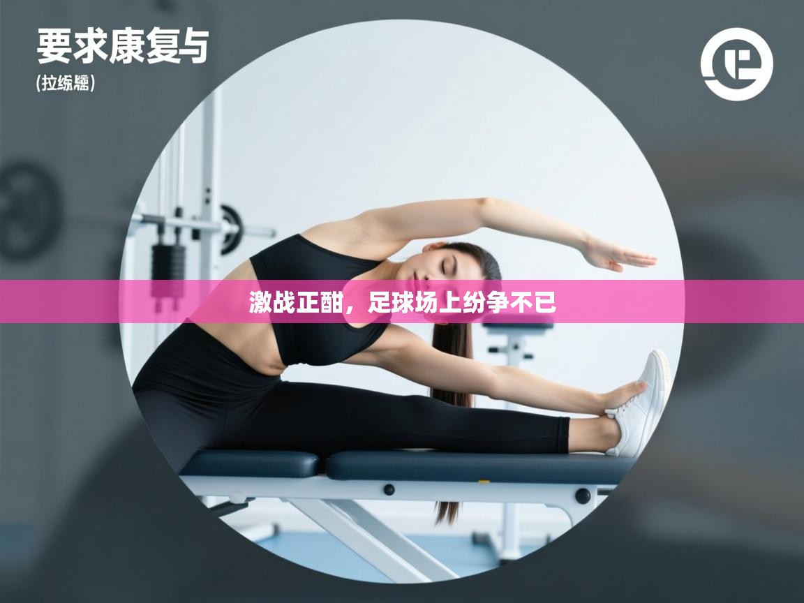 激战正酣,足球场上纷争不已 第2张