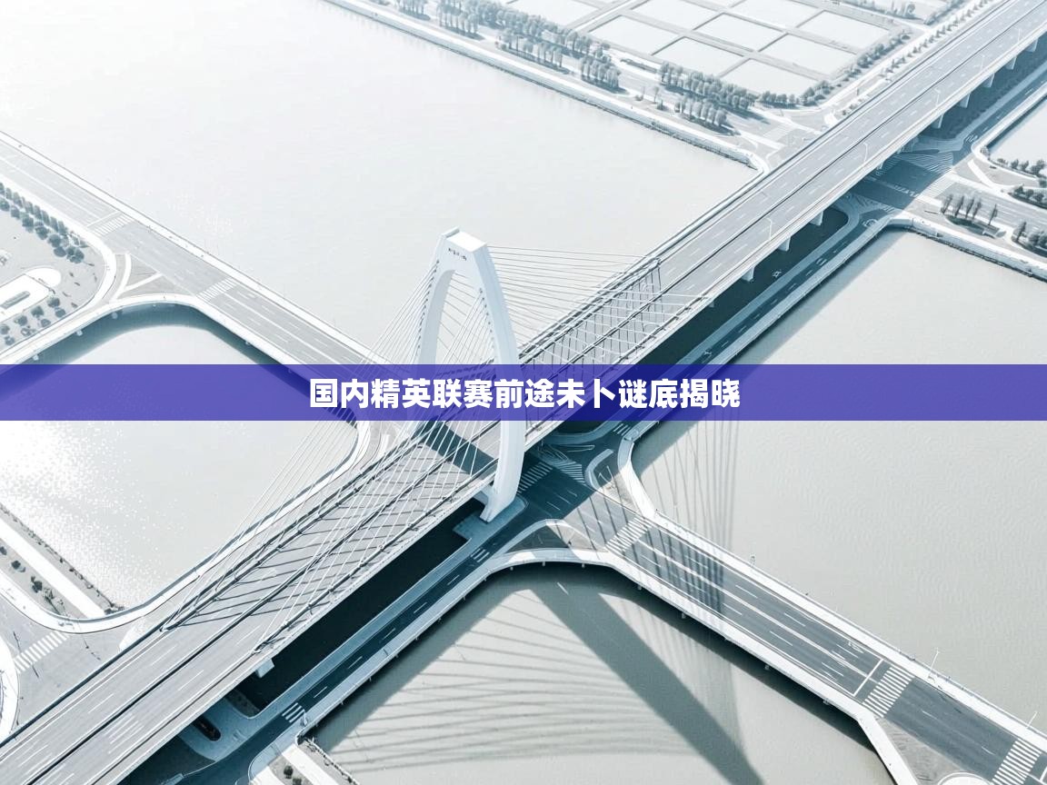 国内精英联赛前途未卜谜底揭晓  第2张