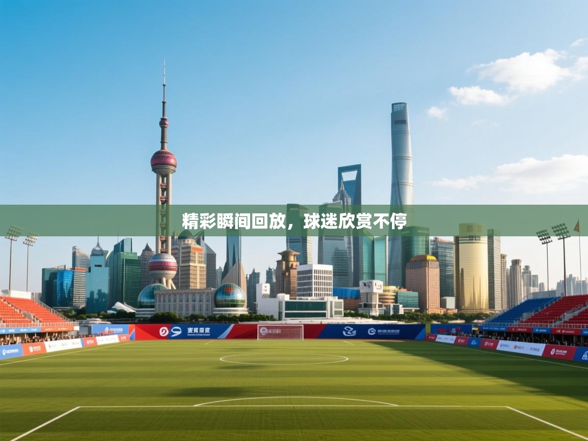 精彩瞬间回放，球迷欣赏不停  第2张