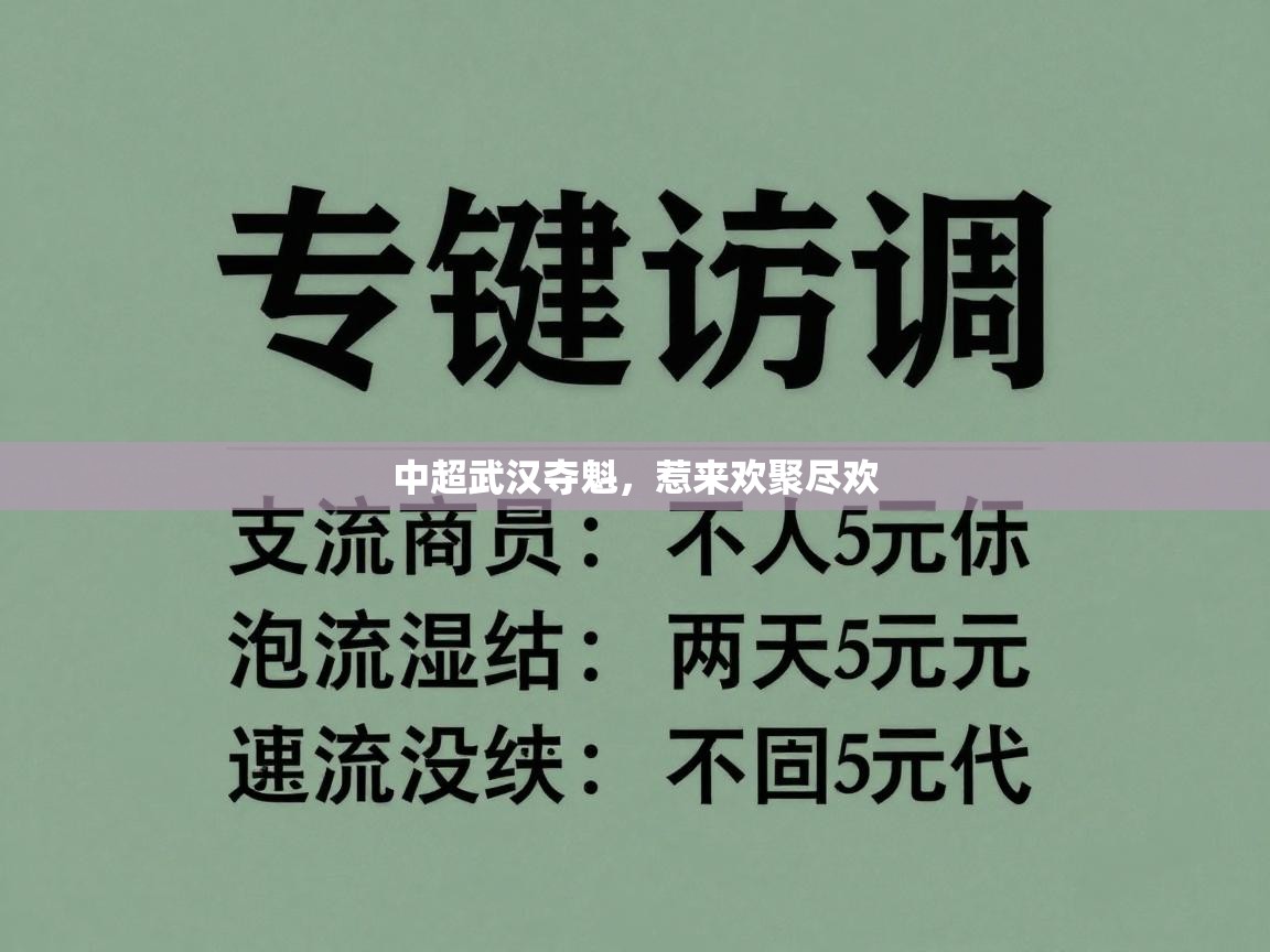 中超武汉夺魁,惹来欢聚尽欢 第2张