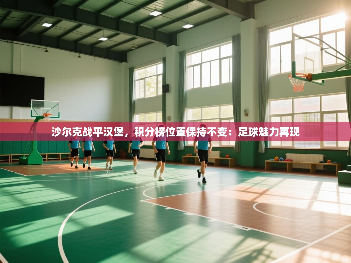 沙尔克战平汉堡，积分榜位置保持不变：足球魅力再现  第2张