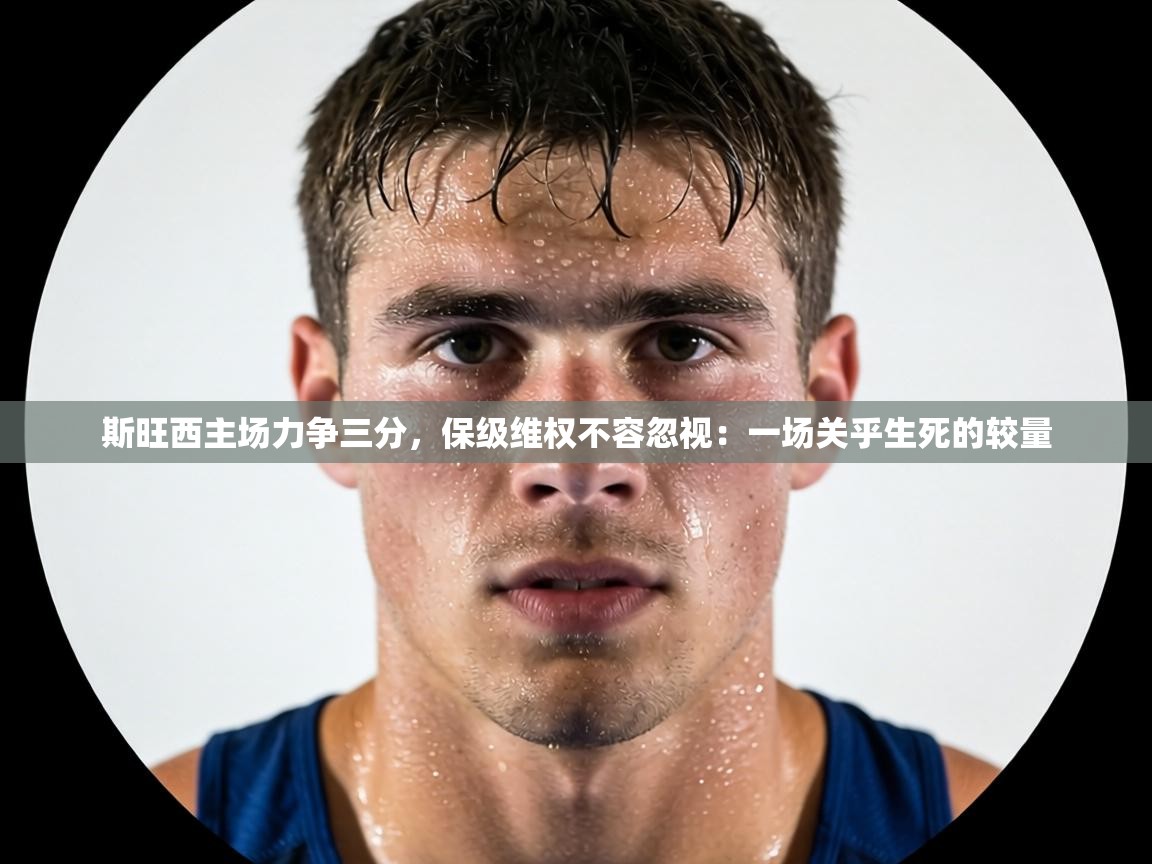 斯旺西主场力争三分,保级维权不容忽视:一场关乎生死的较量 第1张